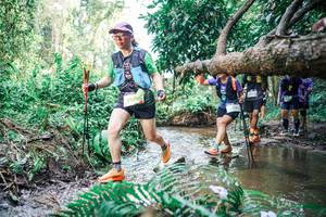 BIB: 
                            <button type="button" onclick="openModal(25478224)" class="btn btn-primary btn-sm float-right btn-popup" data-toggle="modal" data-target=".modal-high-quality">
                        <i class="fas fa-shopping-cart"></i> Add to Cart
                    </button>
                                            <button type="button" onclick="isThisMe(25478224, true)" class="btn btn-success btn-sm float-right btn-popup btn-isme hidden" data-toggle="tooltip" data-placement="bottom" title="นี่คือรูปของคุณใช่ไหม คลิกที่นี่เพื่อเอาเข้าอัลบั้ม">
                        <i class="fas fa-plus"></i> Add to album
                    </button>
                    <button type="button" onclick="isThisMe(25478224, false)" class="btn btn-warning btn-sm float-right btn-popup btn-isnotme hidden">
                        <i class="fas fa-ban"></i> Remove from album
                    </button>